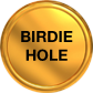 Birdie Hole > Awarded for obtaining a Birdie on any Hole.